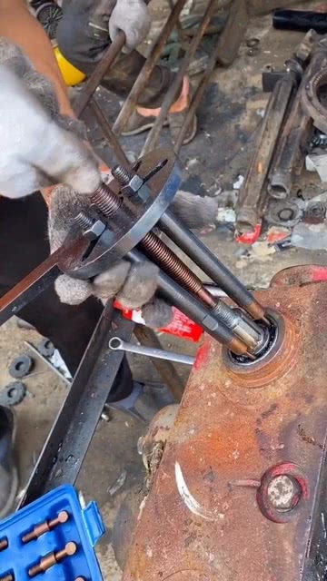 五金工具與寵物用品 跨行業的家居需求融合