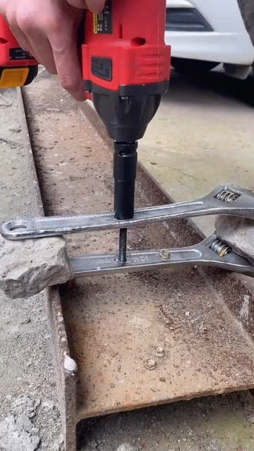 五金工具與寵物用品的奇妙結合 打造愛寵專屬舒適空間