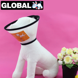 佺球寵物用品專營店 寵物生活服務領導者，僅此一天大放送！