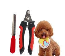 寵物帶 寵物用品的必要之選